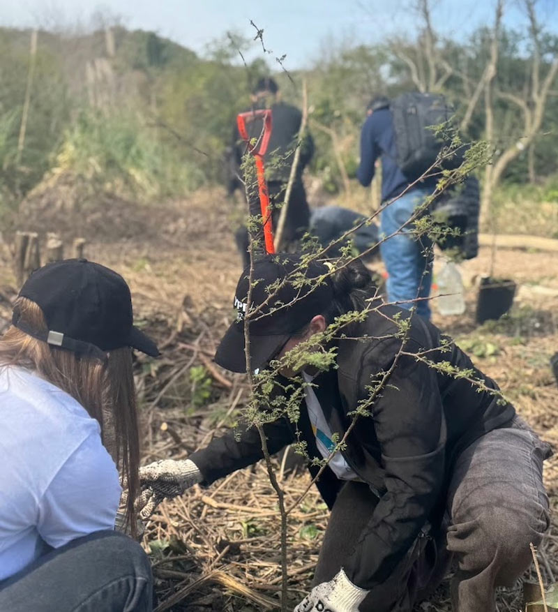 Plantación con empresas voluntariado